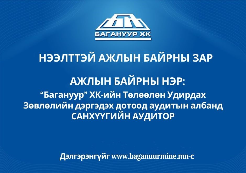 АУДИТОР 1 – (САНХҮҮГИЙН АУДИТОР)