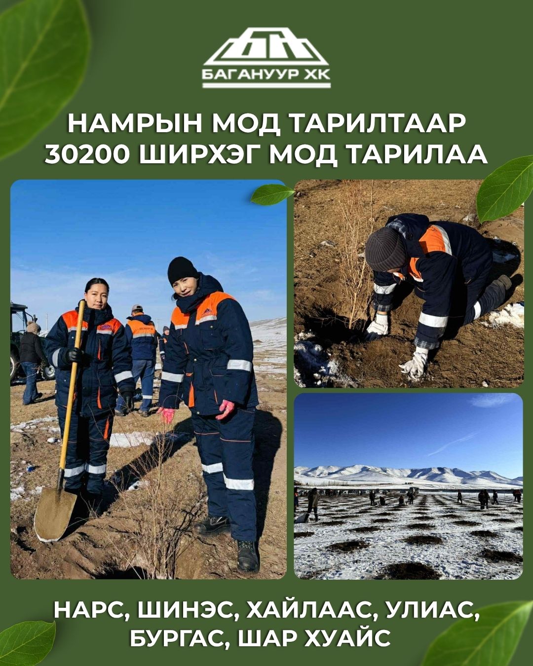 МОНГОЛ УЛСЫН ЭРЧИМ ХҮЧНИЙ ТУЛГУУР УУРХАЙ БАГАНУУР ХК 2025 ОНЫ НАМРЫН МОД ТАРИЛТААР 30200 ШИРХЭГ МОД ТАРИЛАА