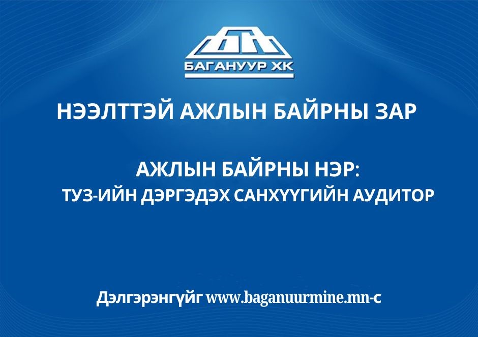 АЖЛЫН БАЙРНЫ НЭР: ТӨЛӨӨЛӨН УДИРДАХ ЗӨВЛӨЛИЙН ДЭРГЭДЭХ САНХҮҮГИЙН АУДИТОР 