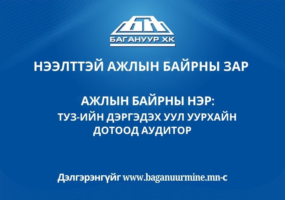 АЖЛЫН БАЙРНЫ НЭР: ТӨЛӨӨЛӨН УДИРДАХ ЗӨВЛӨЛИЙН ДЭРГЭДЭХ УУЛ УУРХАЙН ДОТООД АУДИТОР 