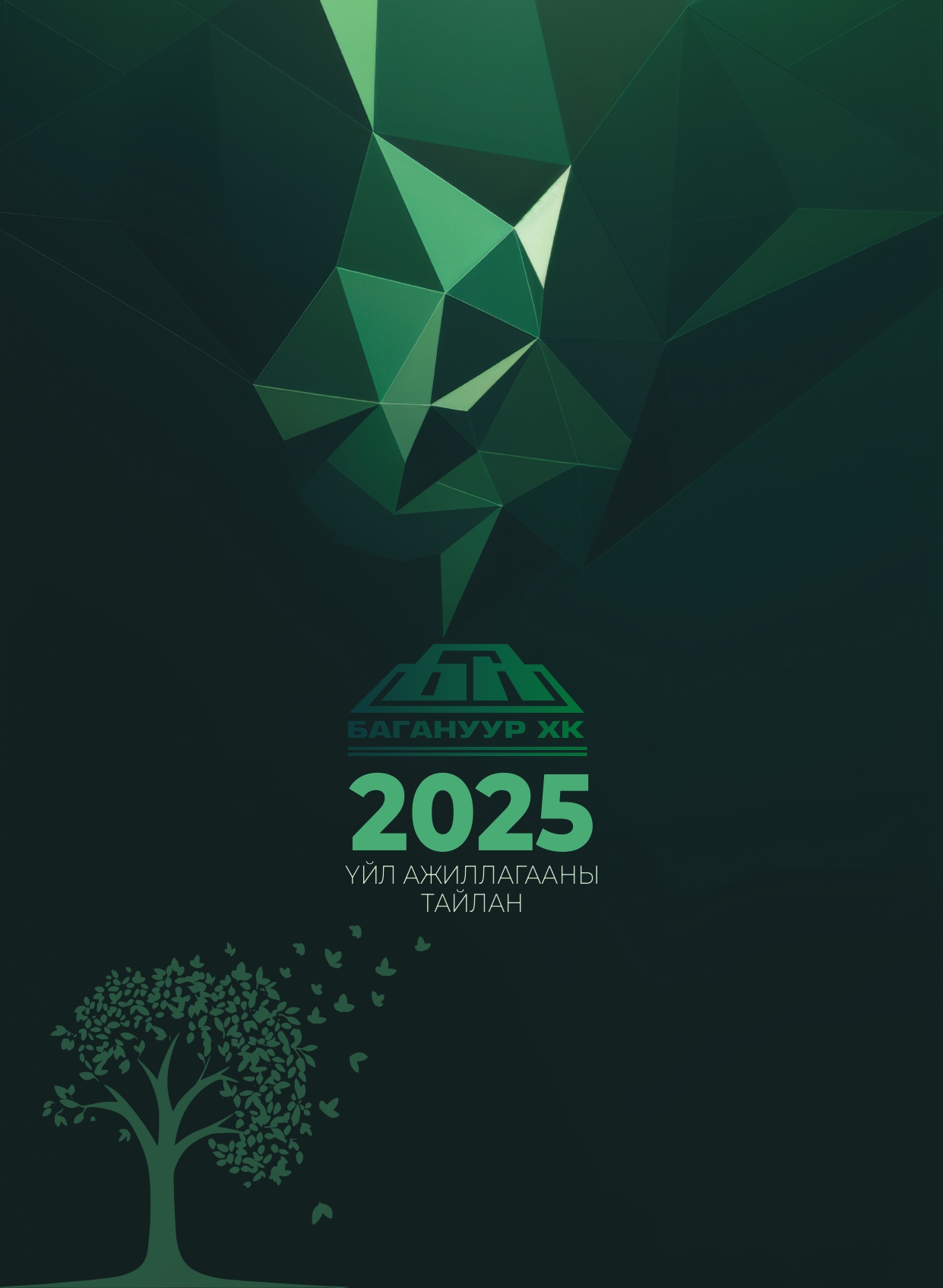 2025 ОНЫ ҮЙЛ АЖИЛЛАГААНЫ ТАЙЛАН